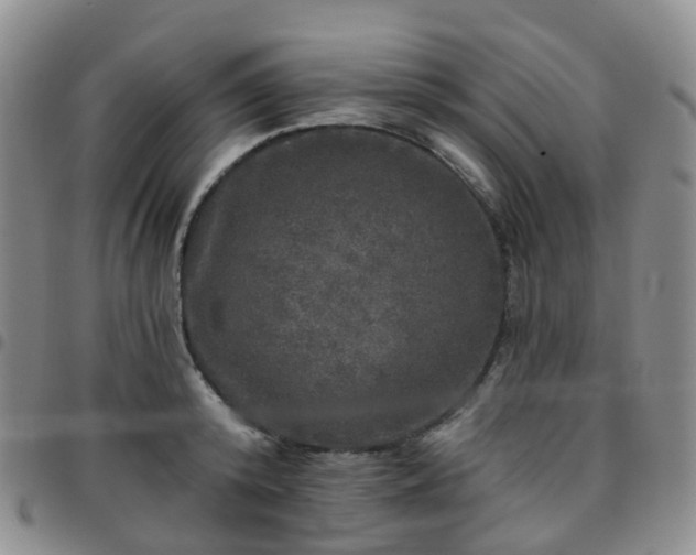 X0000097790800200803141828