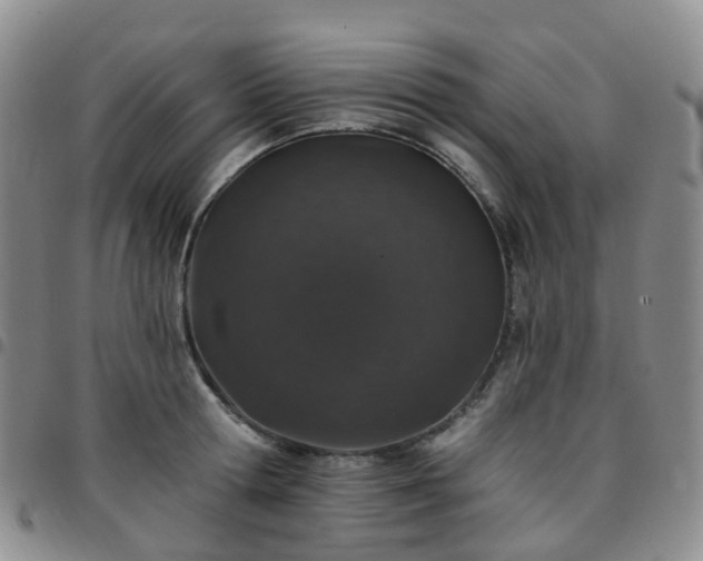 X0000097790802200803141828