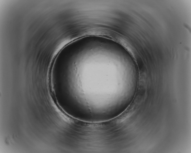 X0000097790803200803141828
