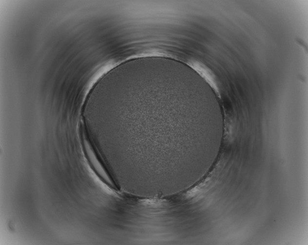 X0000097790805200803141828