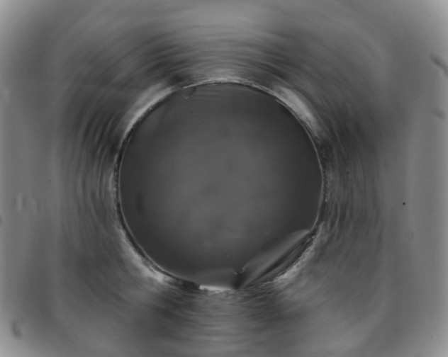 X0000097790806200803141828