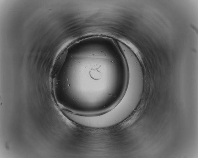 X0000097790807200803141828