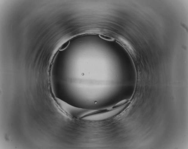X0000097790808200803141828