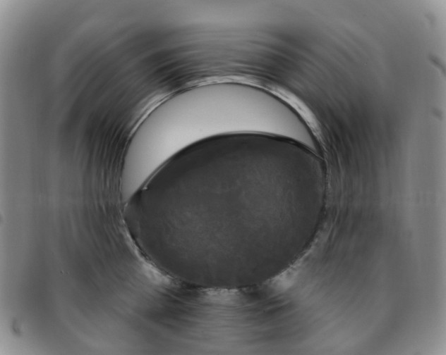 X0000097790809200803141828