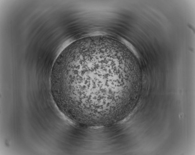 X0000097790810200803141828