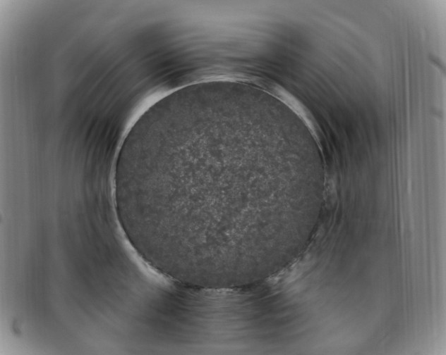 X0000097790811200803141828