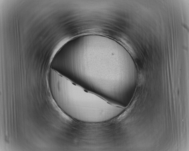 X0000097790812200803141828