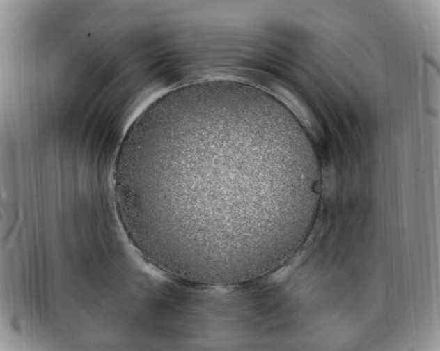 X0000097790814200803141827