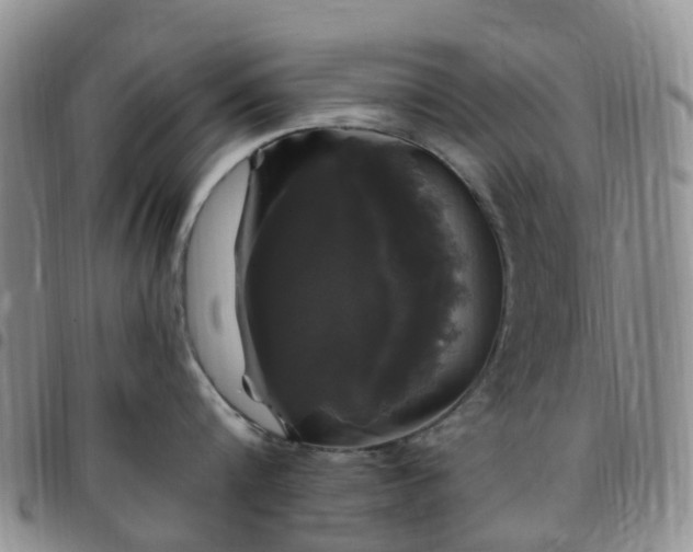 X0000097790816200803141827
