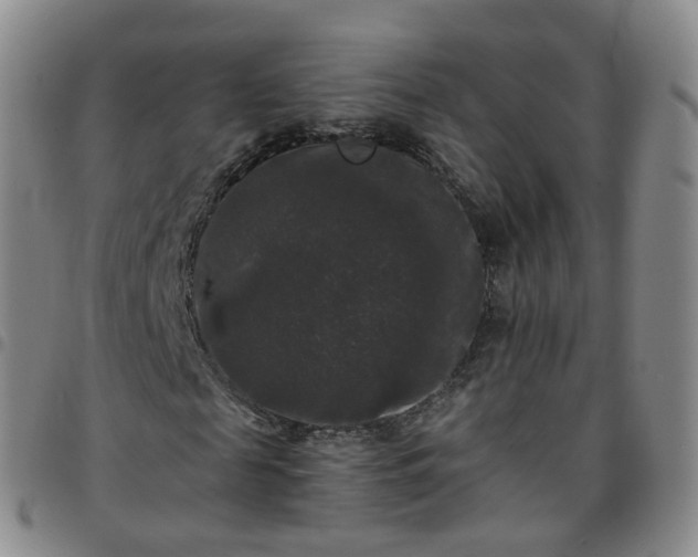 X0000097790817200803141827