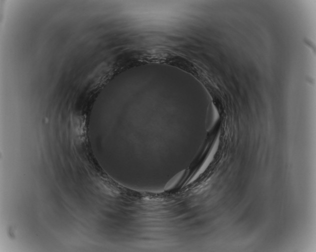 X0000097790818200803141827