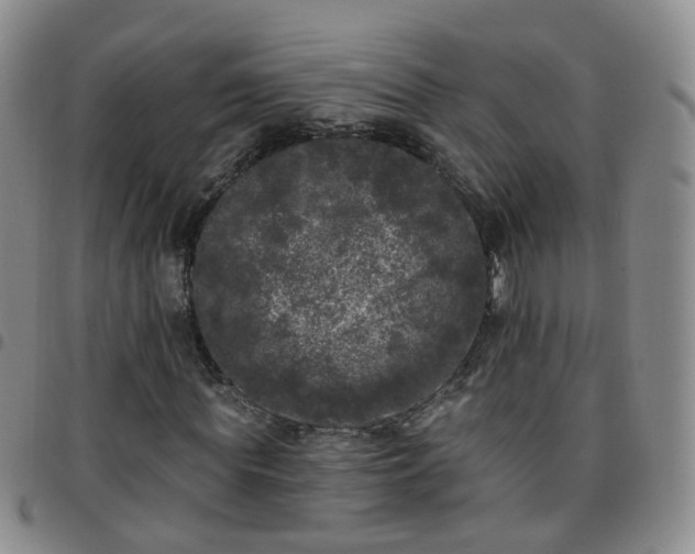 X0000097790819200803141827