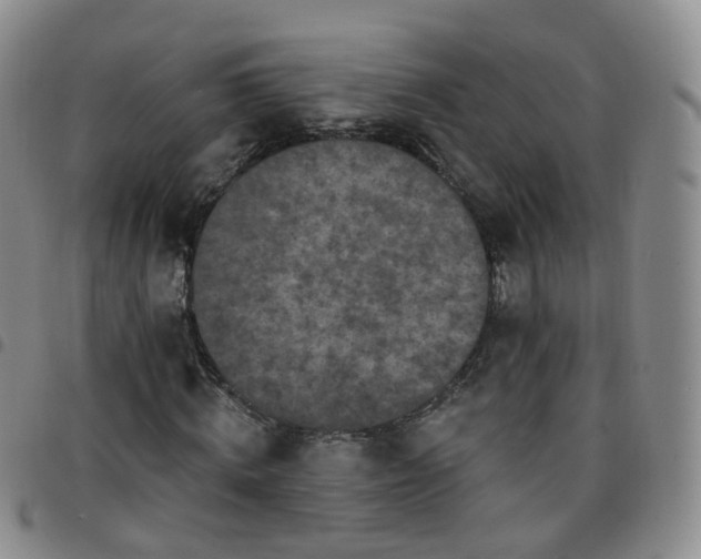 X0000097790820200803141827