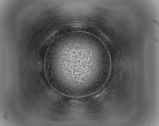 X0000097790821200803141827