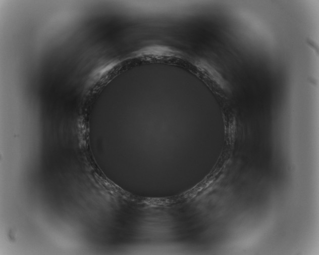 X0000097790822200803141827