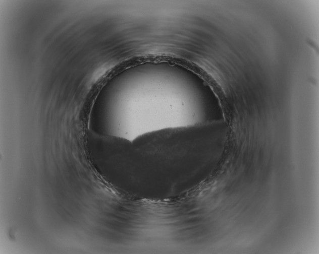X0000097790823200803141827