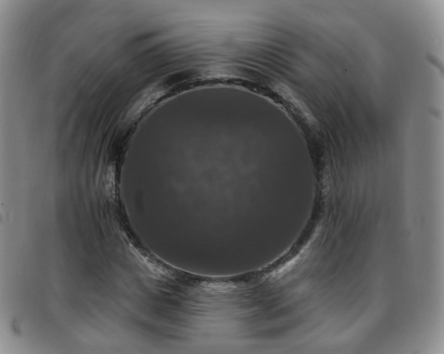 X0000097790825200803141827