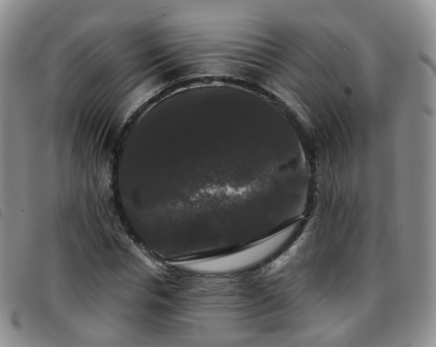 X0000097790826200803141827