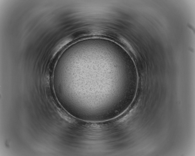 X0000097790827200803141827
