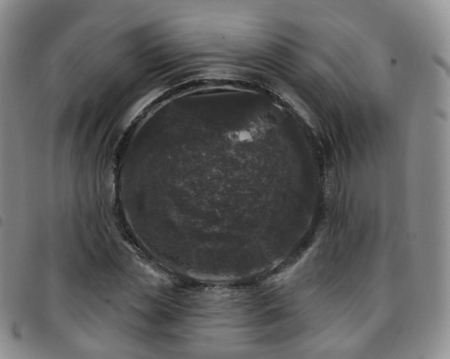 X0000097790829200803141827