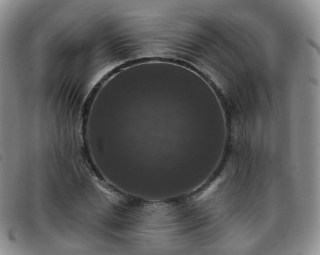 X0000097790830200803141827