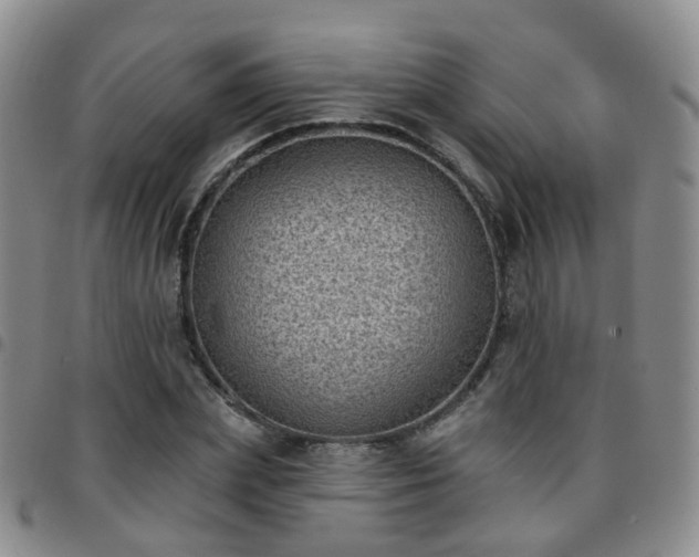 X0000097790831200803141827