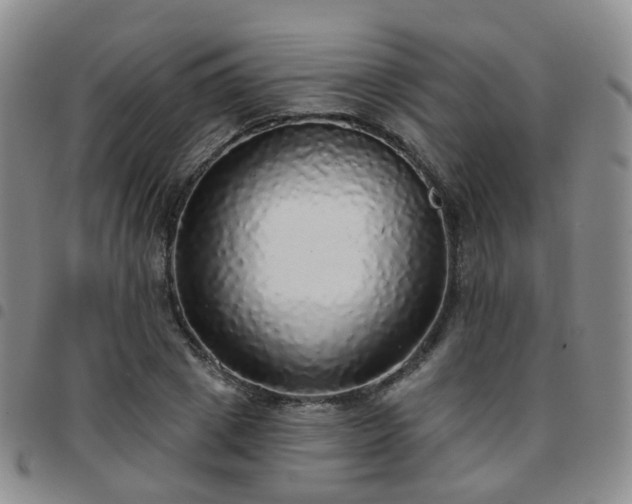 X0000097790833200803141827