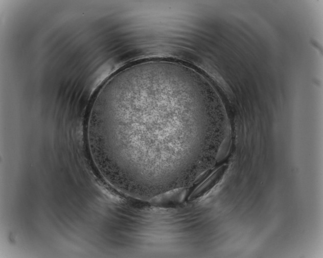 X0000097790834200803141827
