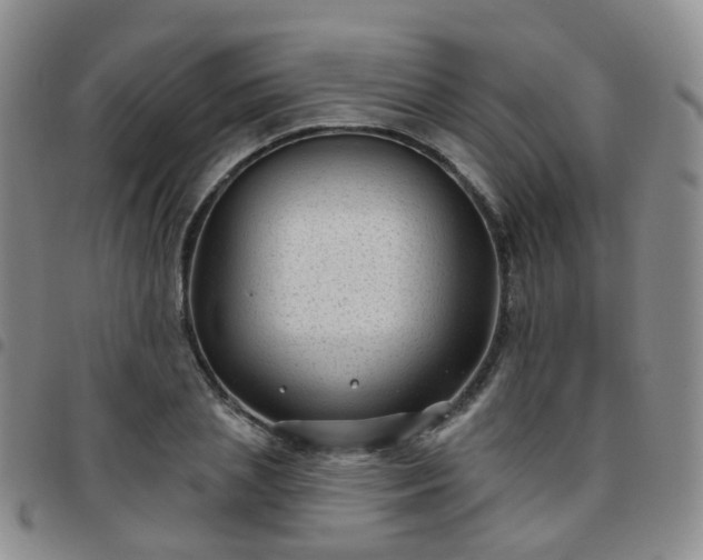 X0000097790837200803141827