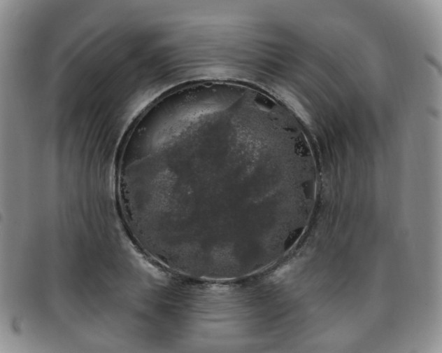X0000097790839200803141827