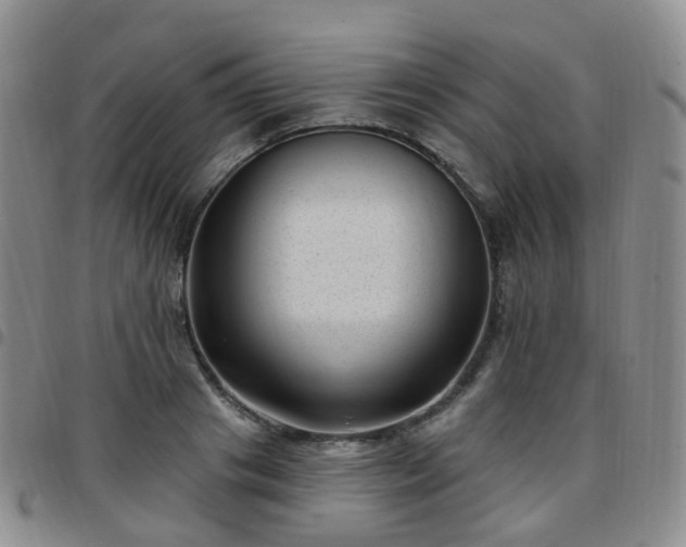 X0000097790841200803141827