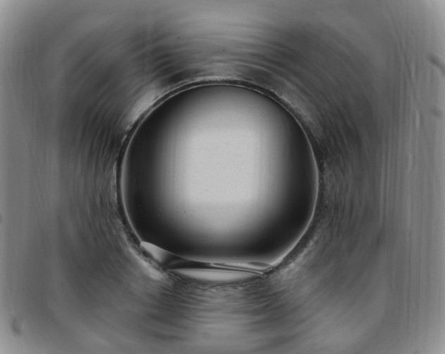 X0000097790842200803141827