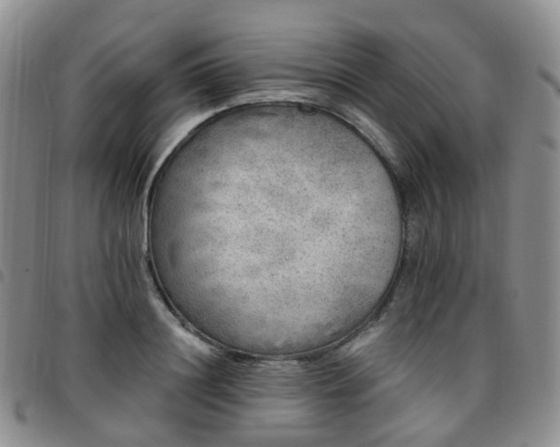 X0000097790844200803141827