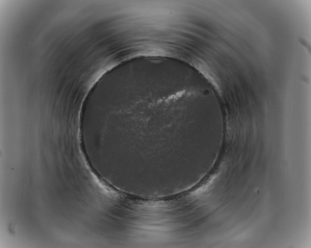 X0000097790845200803141827
