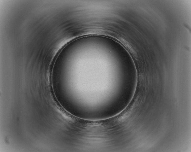 X0000097790846200803141827