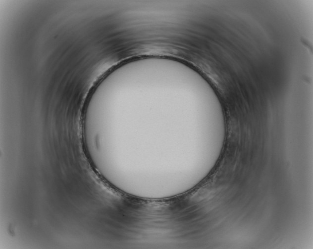 X0000097790848200803141827