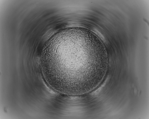 X0000097790849200803141827