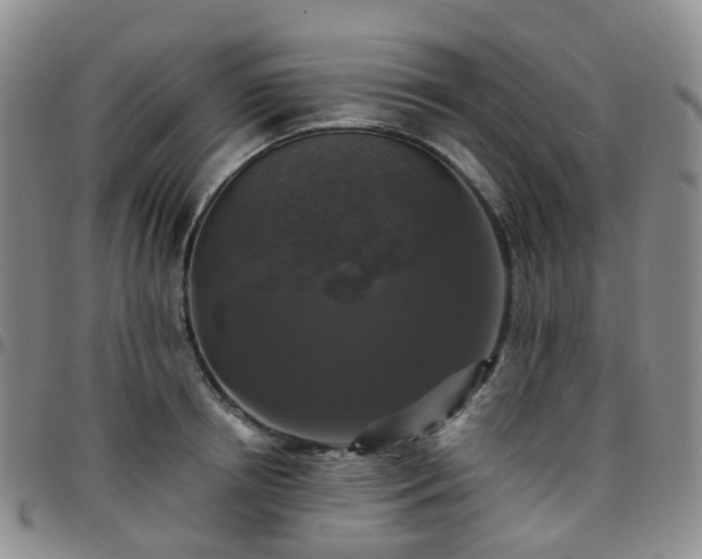 X0000097790850200803141827