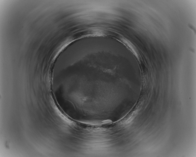 X0000097790851200803141827