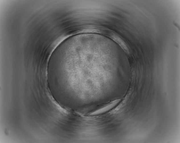 X0000097790852200803141827