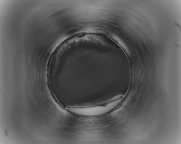 X0000097790853200803141827