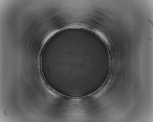 X0000097790854200803141827