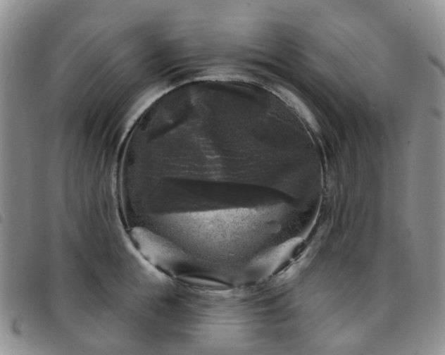 X0000097790855200803141827