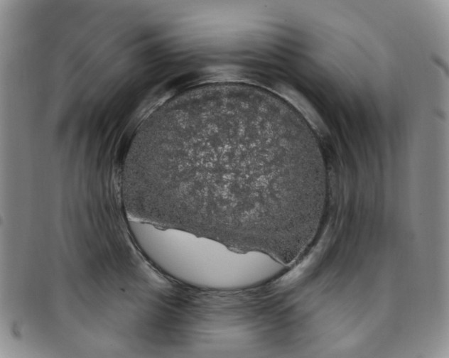 X0000097790857200803141827