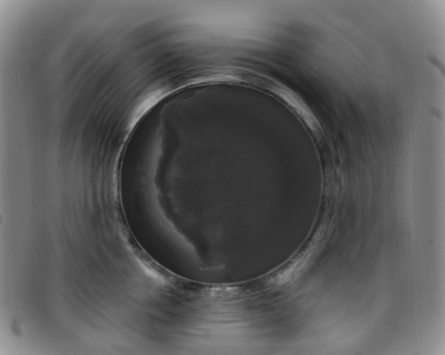 X0000097790858200803141827