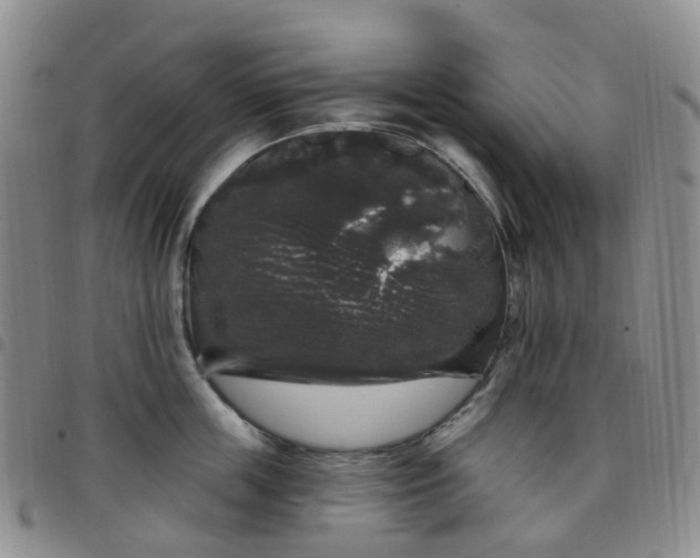 X0000097790859200803141827