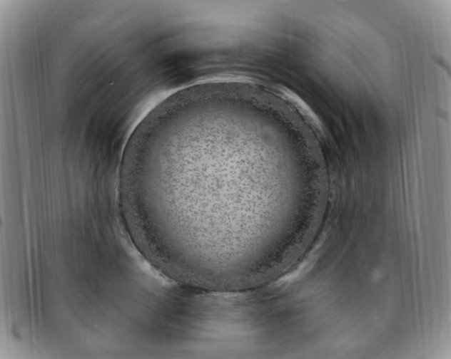 X0000097790860200803141827
