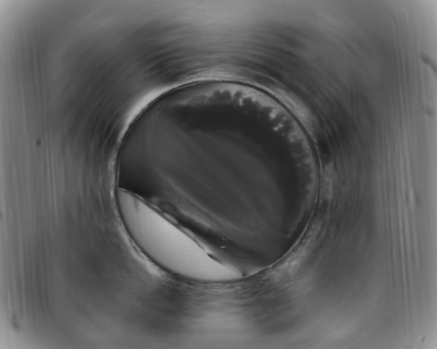 X0000097790862200803141827