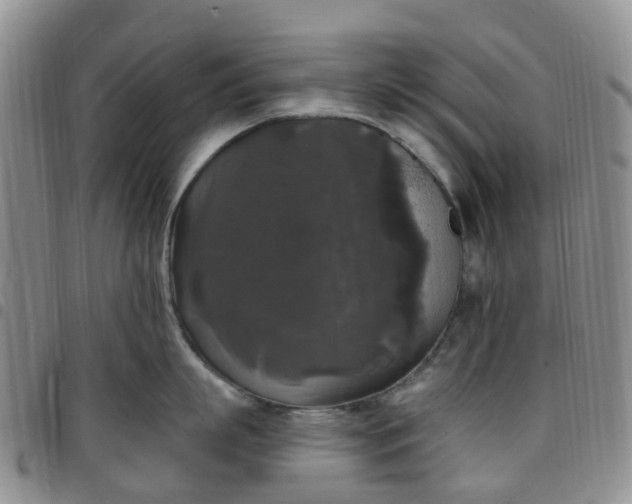 X0000097790863200803141827