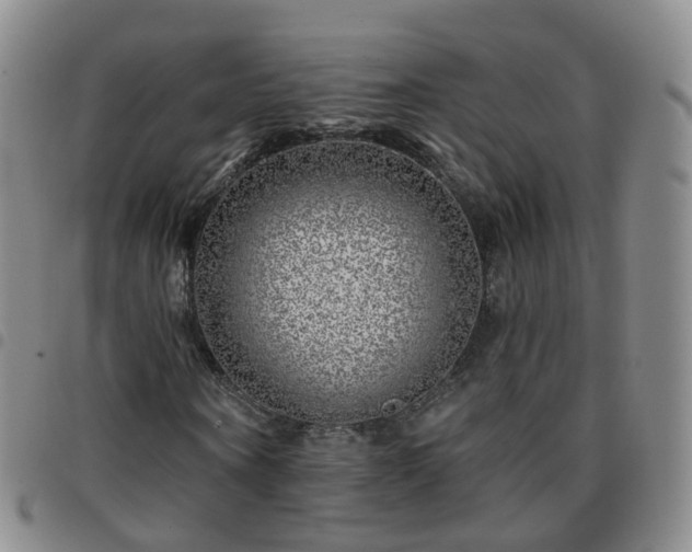 X0000097790866200803141827